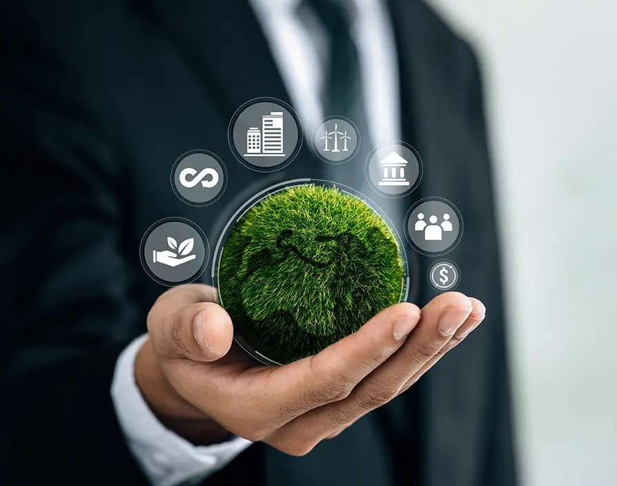 Sustainability Sustainability